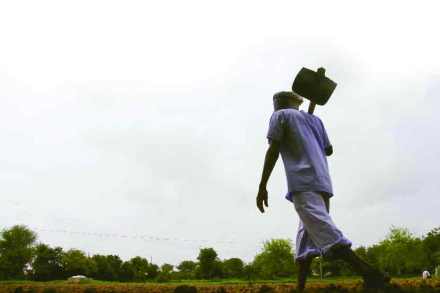 agriculture , Loan waiver, farmers , crop insurance , कर्जमाफी, पीकविमा , Banks, Loksatta, loksatta news, Marathi, marathi news agriculture , Loan waiver, farmers , crop insurance , कर्जमाफी, पीकविमा , Banks, Loksatta, loksatta news, Marathi, marathi news