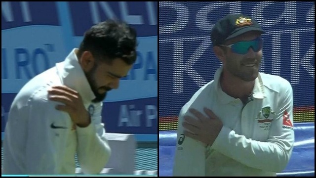 maxwell , kohli