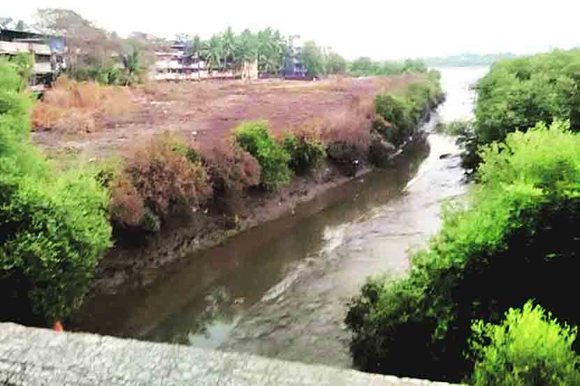 कांदळवनावर कुऱ्हाड