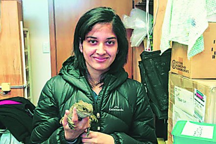 नव्या घरात पेंग्विन रुळताहेत! नव्या घरात पेंग्विन रुळताहेत!