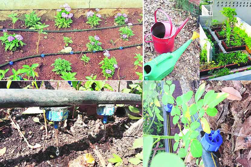 हिरवे मूग पाणी पिऊन टम्म फुगले होते अन् नाजूक साल बाजूला करून पांढरेशुभ्र कोंब डोकावत होते हिरवे मूग पाणी पिऊन टम्म फुगले होते अन् नाजूक साल बाजूला करून पांढरेशुभ्र कोंब डोकावत होते