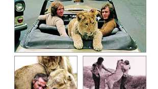 Wild animals and men love