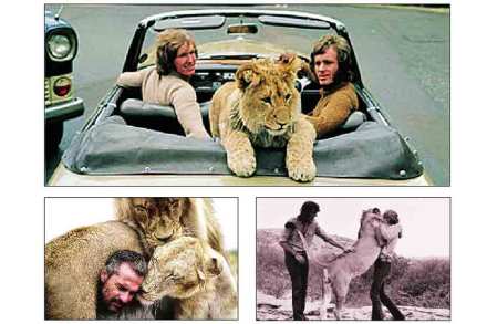 Wild animals and men love