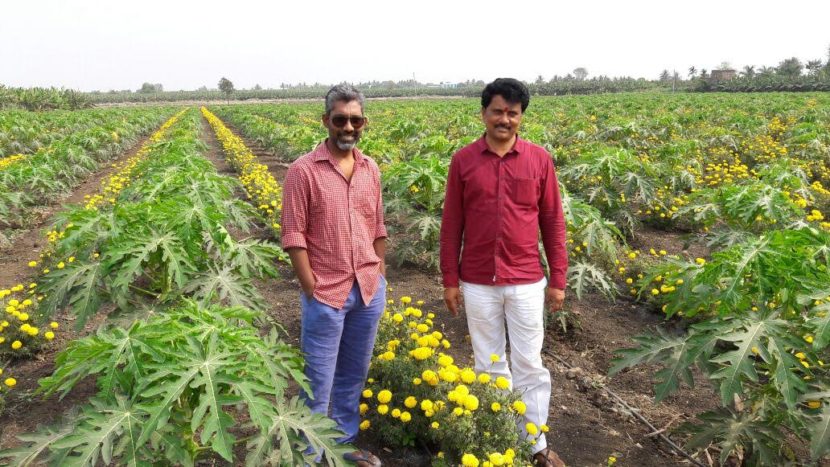 sairat