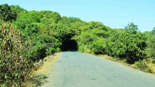 bhimashankar