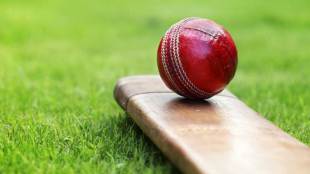 cricket