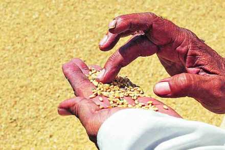 कर्जमाफीच्या पलीकडे