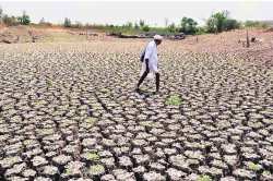 शेतकऱ्यांच्या संघटना कर्जमाफीसाठी आक्रमक