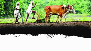 Union Cabinet , interest subvention scheme for farmers , कर्जमाफी , farmers Crop loans , loan waiver, loan intrest rate, Loksatta, Loksatta news, Marathi, Marathi news