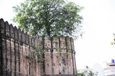 fort