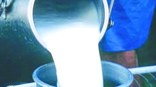 Gokul , milk rate increases , cow milk , milk by Rs 2 after govt forces higher procurement rate, Loksatta, Loksatta news, Marathi, Marathi news