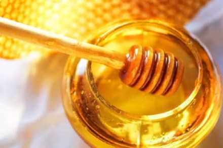 honey
