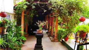 eco friendly home