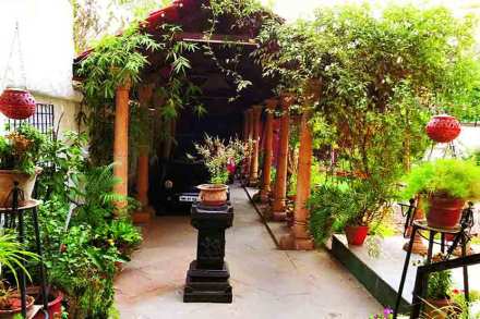 eco friendly home
