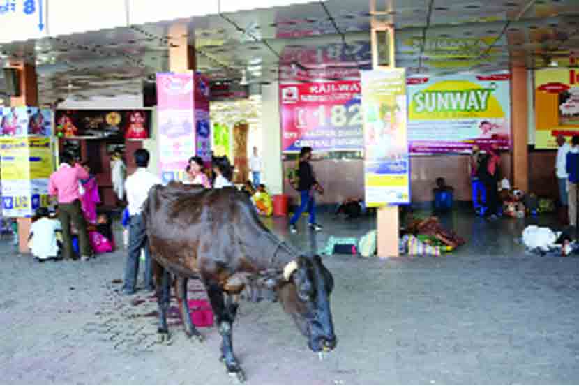 नागपूर रेल्वे स्थानकावरील अस्वच्छता.