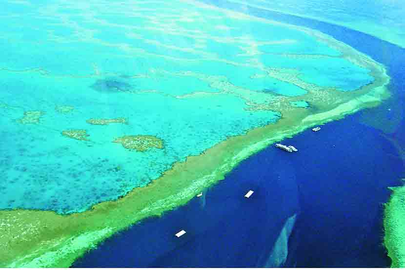 Ocean wonders