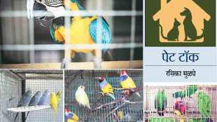 foreign birds