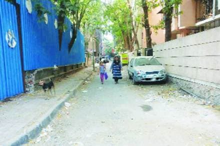 डहाणूकरवाडी येथील रहिवाशांनी या पदपथांविरोधात नोंदवलेला विरोध हे याचे प्रातिनिधिक उदाहरण आहे. 