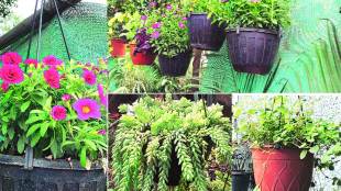 plant Container designed
