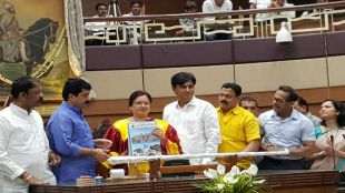 pmc,financial budget 2017-18