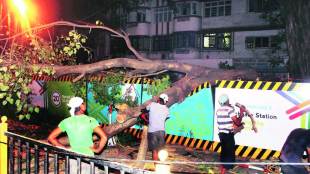 tree-cutting for metro