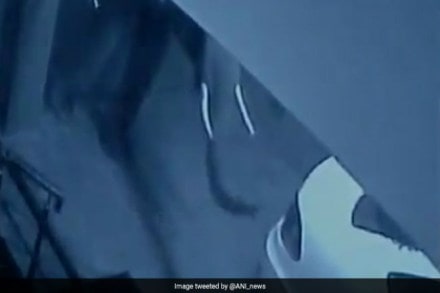 ‘मोती’ने पाठ फिरवताच चाहत्यांचे डोळे पाणावले