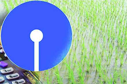 नोटाबंदीच्या निर्णयामुळे अर्थव्यवस्थेवर दीर्घकालीन परिणामांची शक्यता-एसबीआय