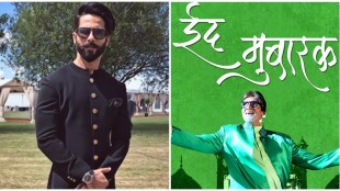 amitabh, shahid