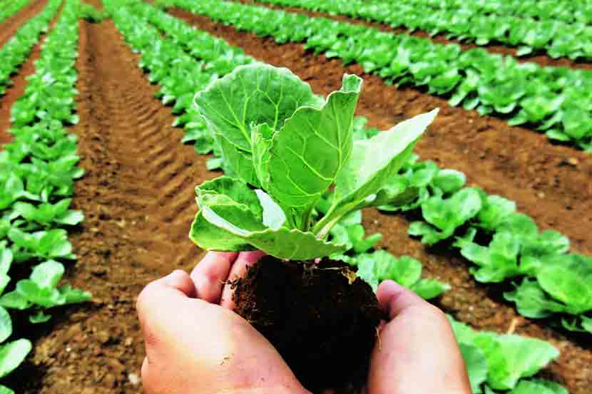 नॅशनल सेंटर ऑफ ऑरगॅनिक फामिंगतर्फे सेंद्रिय शेती प्रमाणपत्र अभ्यासक्रम नॅशनल सेंटर ऑफ ऑरगॅनिक फामिंगतर्फे सेंद्रिय शेती प्रमाणपत्र अभ्यासक्रम