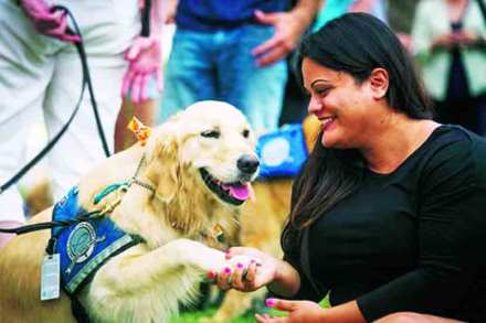 पेट टॉक : कंपन्यांमधील ताणहर्ते पेट टॉक : कंपन्यांमधील ताणहर्ते