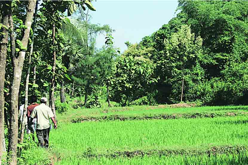 शून्य खर्चाच्या शेतीचे गणित