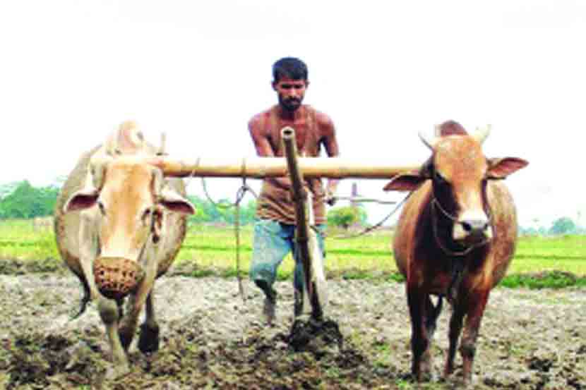 संग्रहित छायाचित्र. 