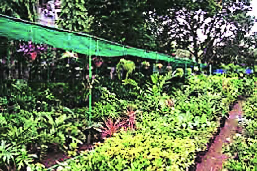 शेतीत रासायनिक खतांपेक्षा सेंद्रिय पद्धतीचा अवलंब करत जमिनीचा पोत कसा सुधारेल यासाठी प्रयत्न होत आहे.