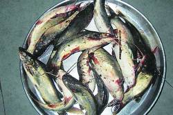 पाऊस पडताच चिवणी मासे बाजारात