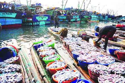 ताजी मासळी १५ दिवसांत बाजारात ताजी मासळी १५ दिवसांत बाजारात