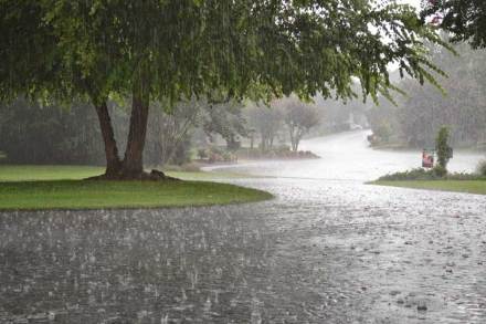 heavy-rains heavy-rains