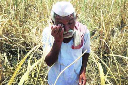 maha-farmers maha-farmers