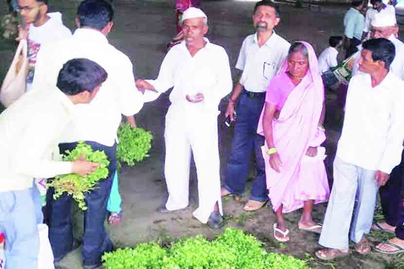 नाशिक बाजार समितीत कोथिंबिर विक्री करताना शेतकरी लक्ष्मण नागरे. 