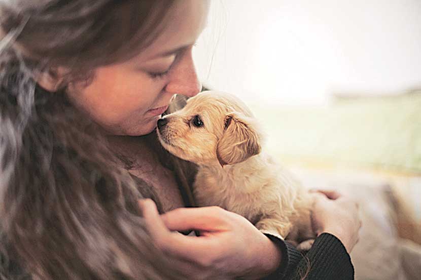 leave for pet owners leave for pet owners