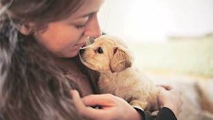 leave for pet owners