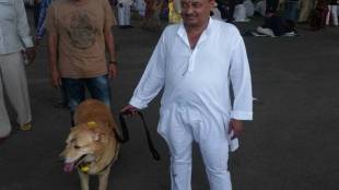 loksatta