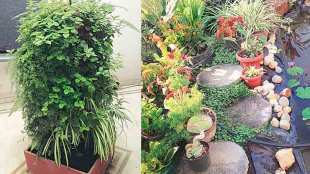 pun-plant