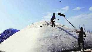salt-farming