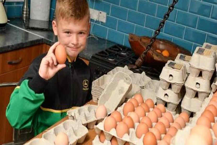 Mr Free Range, Junior-James Wyatt
