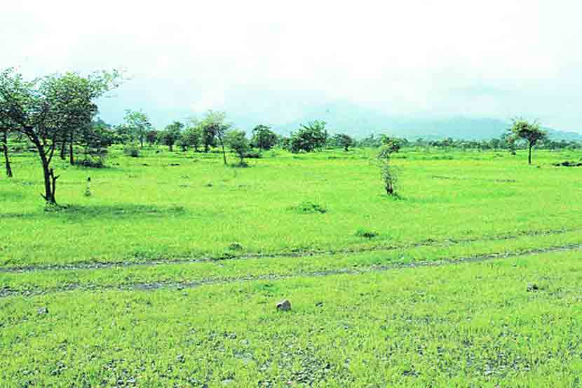 ( संग्रहीत प्रतिकात्मक छायाचित्र )
