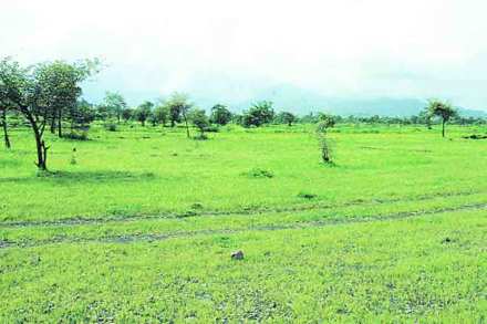 ( संग्रहीत प्रतिकात्मक छायाचित्र )