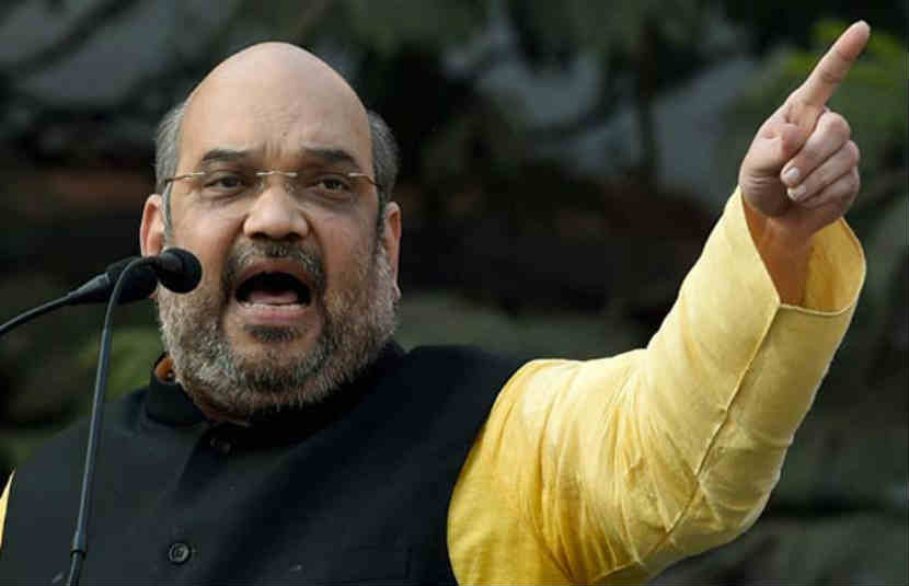 Amit shah, Bjp