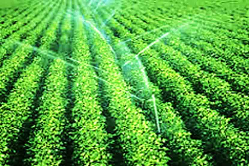 irrigation facilities by Water Plant in Godavari