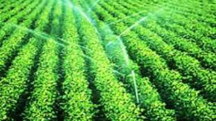 irrigation facilities by Water Plant in Godavari