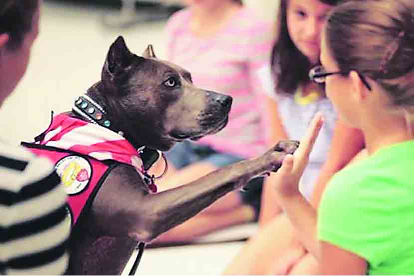( संग्रहीत प्रतिकात्मक छायाचित्र )